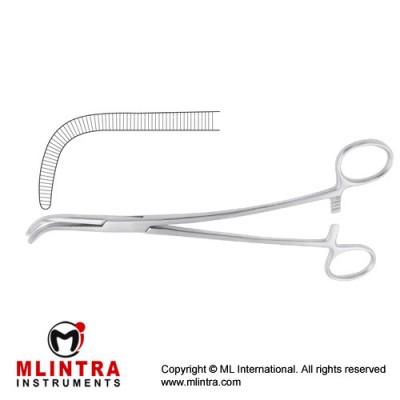 Gray Dissecting and Ligature Forcep Curved S Shaped Stainless Steel, 22 cm - 8 3/4"